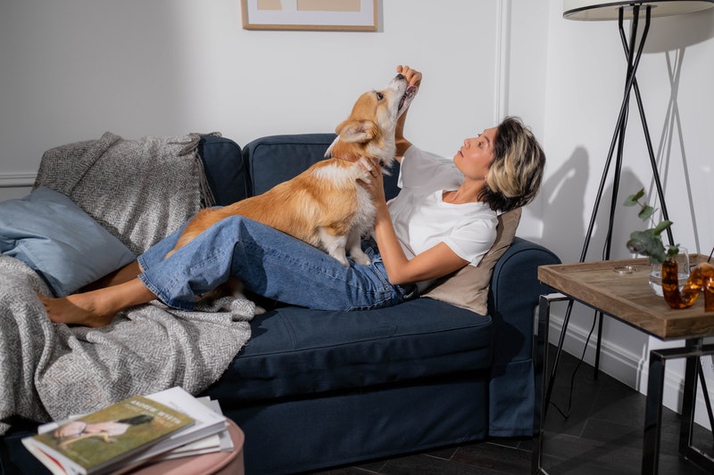 Pet Care
