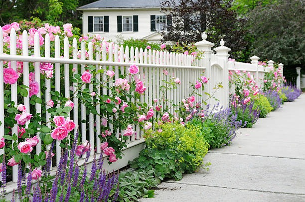 Designing Your Dream Fence: Custom Solutions for Every Need